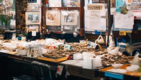 世界赛版本改动重塑中单生态：两球一姬成主流，Rookie中野联动或成IG制胜法宝